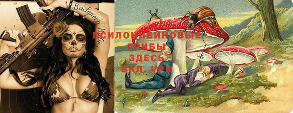 дмт Абинск