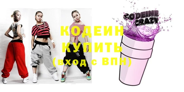 шишки Покачи