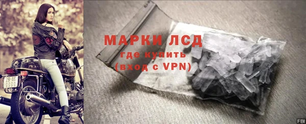 шишки Покачи