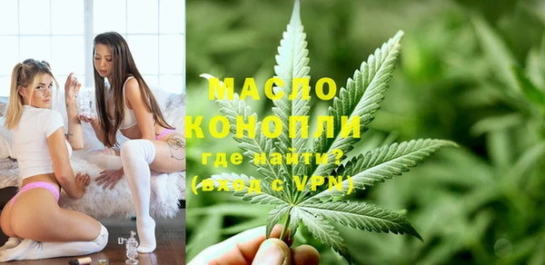 шишки Покачи