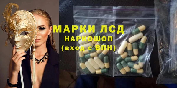 шишки Покачи