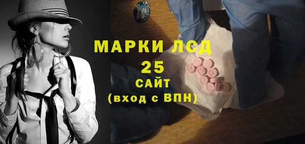 шишки Покачи