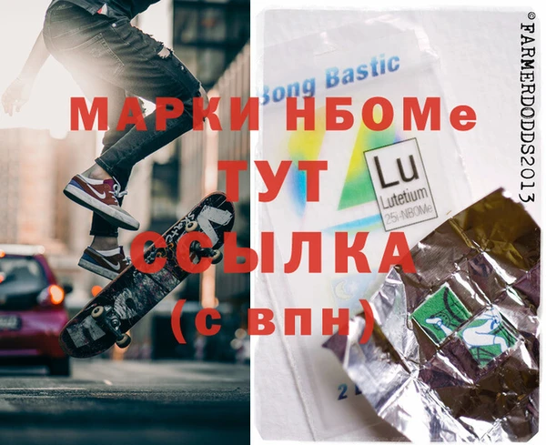 шишки Покачи