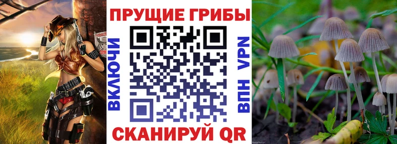 darknet клад  Ак-Довурак  Псилоцибиновые грибы Psilocybe  ссылка на мегу  